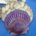 jsx polypropylene bags  - product's photo
