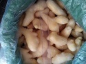  frozen ginger slice - product's photo
