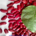 red kidney beans - product's photo