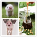 soybean extract grade oil - product's photo