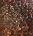 china high quality shiitake mushroom growing kits - product's photo