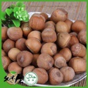 jms-hlt hazelnut ground - product's photo
