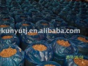 champignon in drum new corp - product's photo