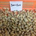 high quality frozen cooked short necked clam meat - product's photo
