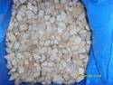 iqf pleurotus eryngii - product's photo