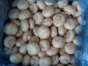 iqf champignon (whole) - product's photo