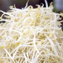 dry green mung bean 2.5-2.8mm size for sprouting - product's photo