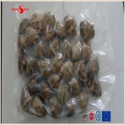 vacuum -packed short necked clam in shell - product's photo