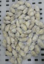 frozen clams with multiple sizes - product's photo