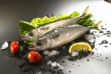 frozen pacific mackerel size 120g-200g per piece - product's photo