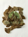 good quality dried raw cashew nuts in shell rare sea shells antique se - product's photo