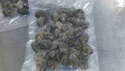 china supplier supply frozen cooked v-packed baby clam - product's photo