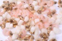 frozen cooked top clam shell off in high quality - product's photo