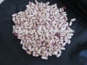 light speckled kidney beans - product's photo