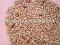 light speckled kidney bean - product's photo