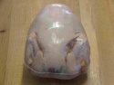 poultry shrink - product's photo