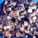 iqf frozen boletus edulis whole or halve or cubes - product's photo