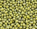 green mung bean - product's photo