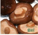 high quality fresh food mushrooms - product's photo