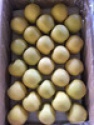 fresh yellow honey golden-delicious apples - product's photo