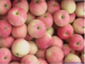 fresh gala apple - product's photo