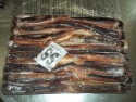 illex squid - product's photo