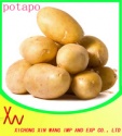potato chip machine - product's photo