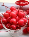 canned cherry in syrup in 425g tins - product's photo