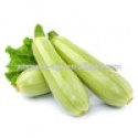 wholesale quick frozen sliced marrow - product's photo
