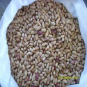 2015 long shape light speckled kidney bean / lskb - product's photo