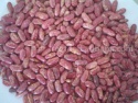 red speckled kidney beans - product's photo