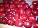 red apple - product's photo