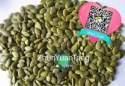 china pumpkin seeds kernel - shine skin aa/a - product's photo