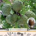 graviola cancer - product's photo