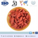 hot sale pure nature blushwood berry extract - product's photo