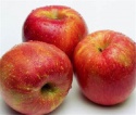 china market price fruit fresh fuji apple - product's photo