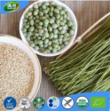 gluten free vegan organic edamame & quinoa pasta - product's photo