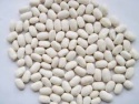  white kidney beans with excellent quality - product's photo
