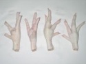 halal frozen chicken paws - product's photo