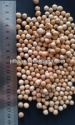 chickpea - product's photo