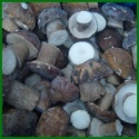 wholesale price iqf raw wild boletus edulis whole - product's photo