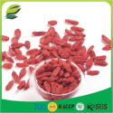 bache di goji fruit seed - product's photo