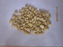 peeled broad beans 2015 crop - product's photo