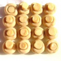 premium canned bottom mushroom - product's photo